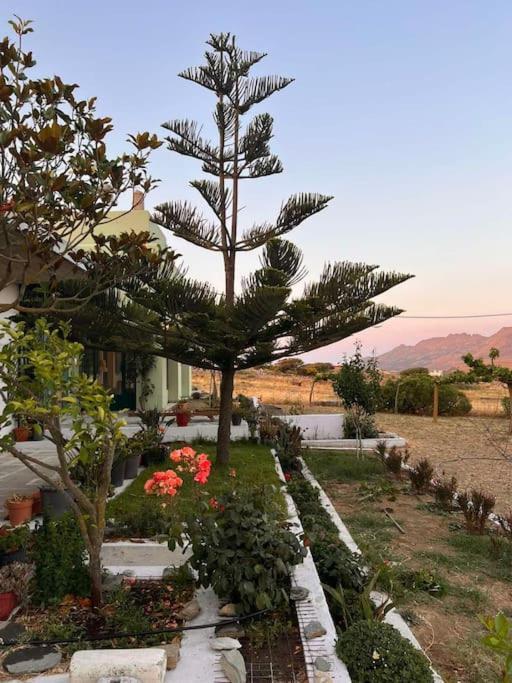 Borgo Majoca - Μονοκατοικία Σε Κυκλαδίτικο Νησί Mési 外观 照片